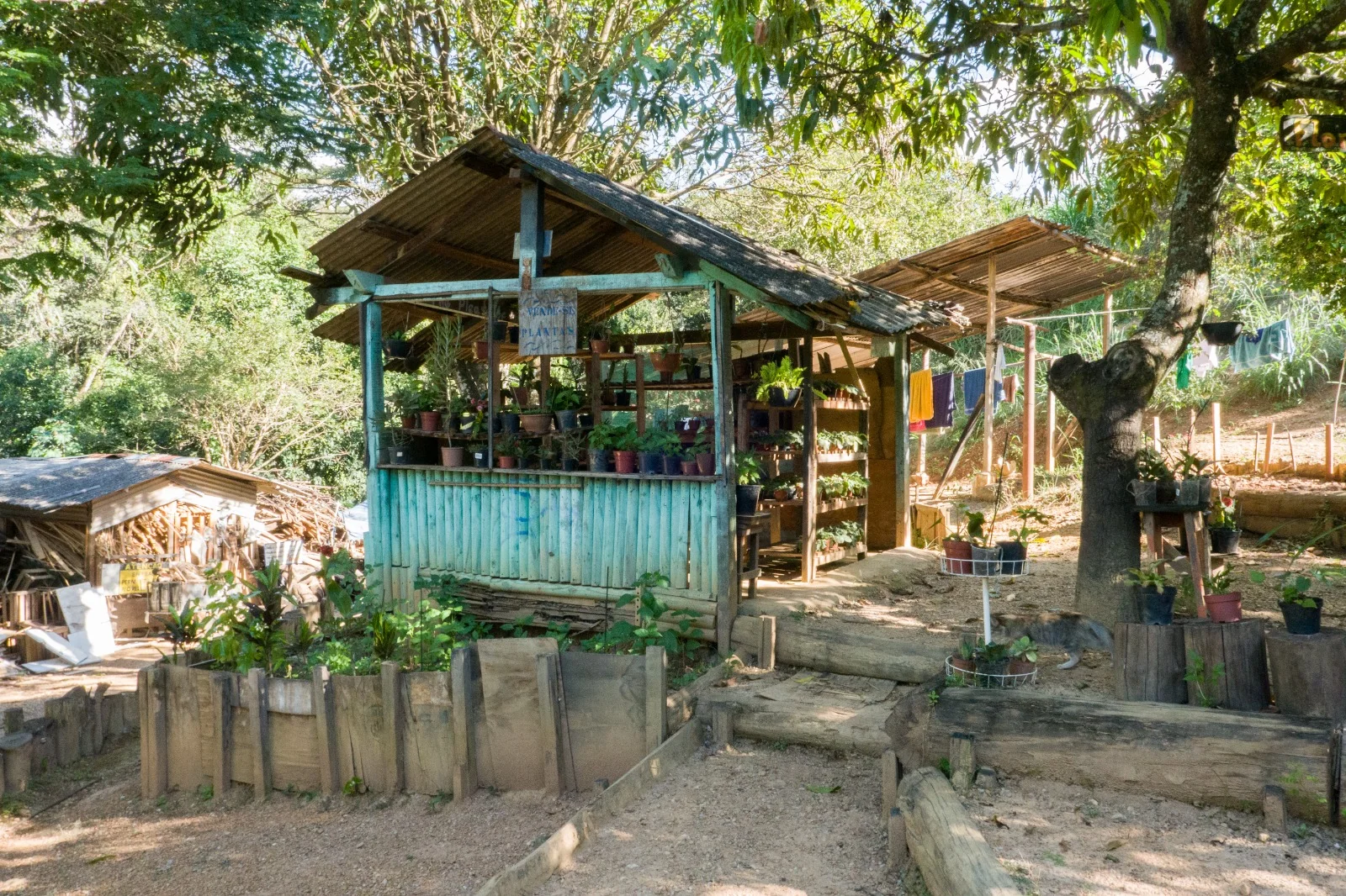 Horta e espaço de atividades